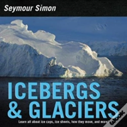 Capa do artigo Icebergs & Glaciers