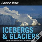 Capa do artigo Icebergs & Glaciers