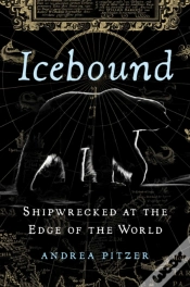 Capa do artigo Icebound
