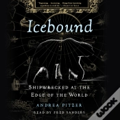 Capa do artigo Icebound