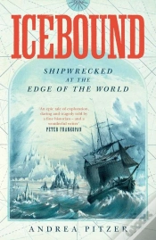 Capa do artigo Icebound