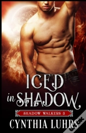 Capa do artigo Iced In Shadow