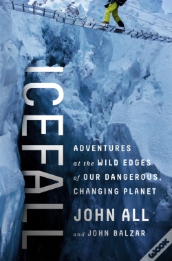Capa do artigo Icefall