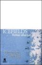 Icefields - Preview