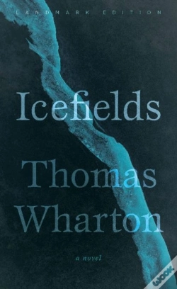 Capa do artigo Icefields