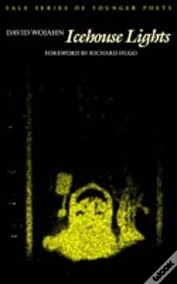 Capa do artigo Icehouse Lights