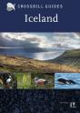 Iceland - Preview