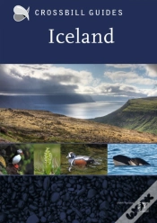 Capa do artigo Iceland