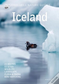 Capa do artigo Iceland