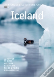 Capa do artigo Iceland
