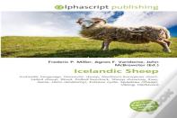Icelandic Sheep