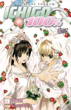 Capa do artigo Ichigo 100% T.19