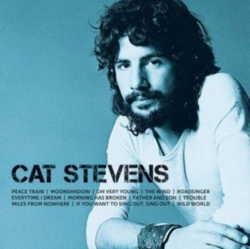 Capa do artigo Icon - CD