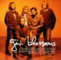 Icon - CD - Preview