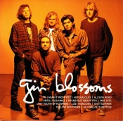 Capa do artigo Icon - CD