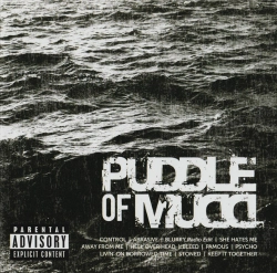 Capa do artigo Icon - CD