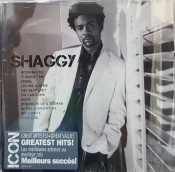 Capa do artigo Icon - CD