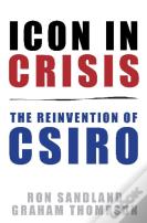 Icon In Crisis