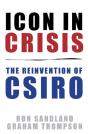 Icon In Crisis - Preview