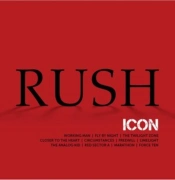 Capa do artigo Icon - Vinil