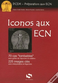Capa do artigo Iconos Aux Ecn
