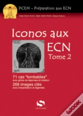 Iconos Pour L'Ecn T.2