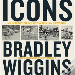 Capa do artigo Icons