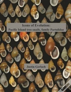 Capa do artigo Icons Of Evolution