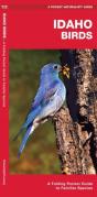 Idaho Birds - Preview