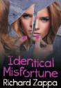 Identical Misfortune - Preview