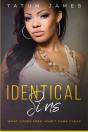 Identical Sins - Preview
