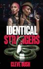 Identical Strangers - Preview