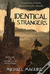 Capa do artigo Identical Strangers