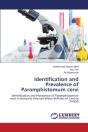 Identification And Prevalence Of Paramphistomum Cervi - Preview