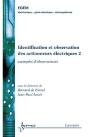 Identification Et Observation Des Actionneurs Electriques 2 Exemples D'Observateurs Traite Egem Ser - Preview
