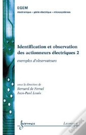 Identification Et Observation Des Actionneurs Electriques 2 Exemples D'Observateurs Traite Egem Ser