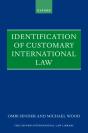 Identification Of Customary International Law - Preview