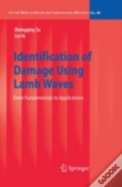 Capa do artigo Identification Of Damage Using Lamb Waves