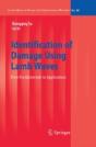 Identification Of Damage Using Lamb Waves - Preview