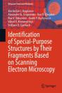 Identification Of Special-Purpose Structures By Their Fragments Based On Scanning Electron Microscopy - Preview