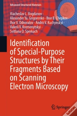 Capa do artigo Identification Of Special-Purpose Structures By Their Fragments Based On Scanning Electron Microscopy