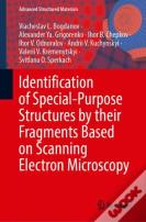 Identification Of Special-Purpose Structures By Their Fragments Based On Scanning Electron Microscopy