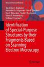 Identification Of Special-Purpose Structures By Their Fragments Based On Scanning Electron Microscopy - Preview