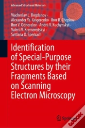 Capa do artigo Identification Of Special-Purpose Structures By Their Fragments Based On Scanning Electron Microscopy