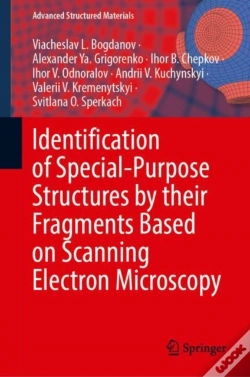 Capa do artigo Identification Of Special-Purpose Structures By Their Fragments Based On Scanning Electron Microscopy