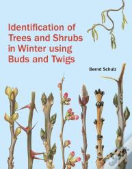 Identification Of Trees And Shrubs In Winter Using Buds And Twigs