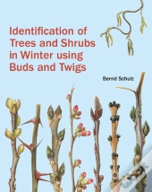 Identification Of Trees And Shrubs In Winter Using Buds And Twigs