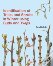 Capa do artigo Identification Of Trees And Shrubs In Winter Using Buds And Twigs