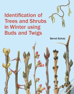 Capa do artigo Identification Of Trees And Shrubs In Winter Using Buds And Twigs