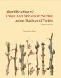 Identification Of Trees And Shrubs In Winter Using Buds And Twigs - Preview